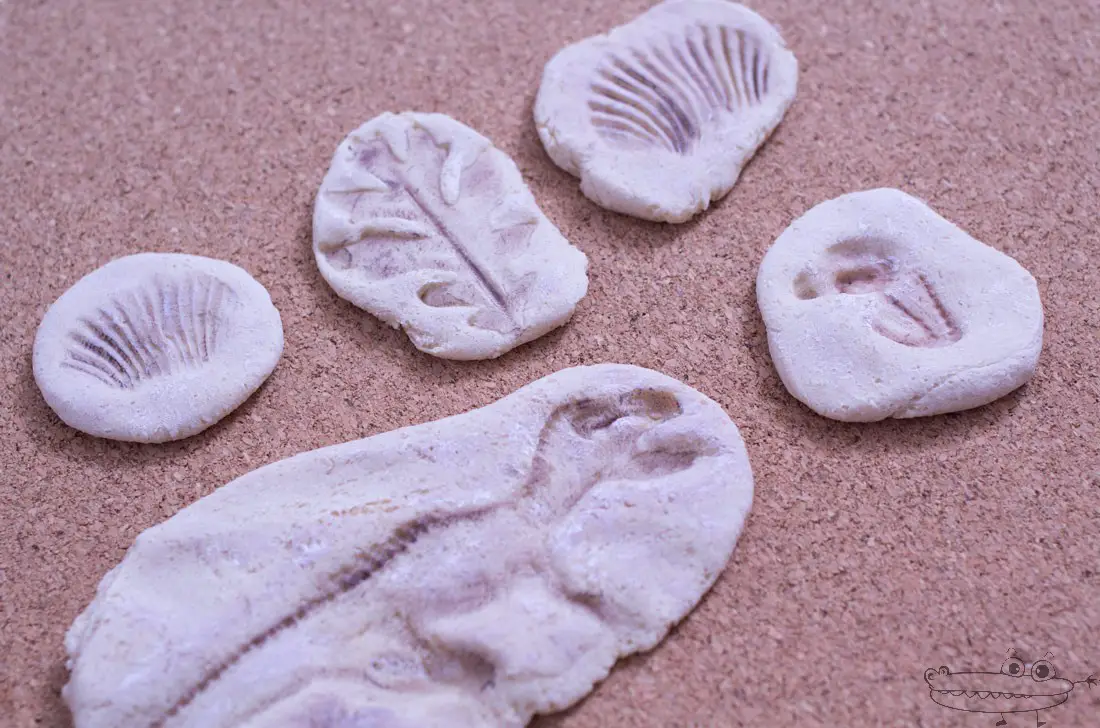 Resultado de imagen de fosiles con pasta de sal