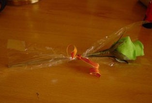 rosa sant jordi papel pincocho 7
