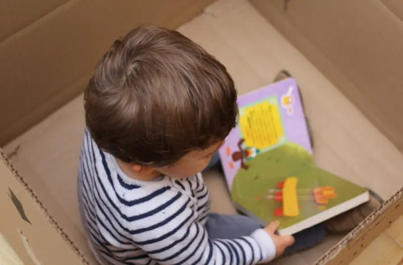 Actividad de interior con libros en la caja
