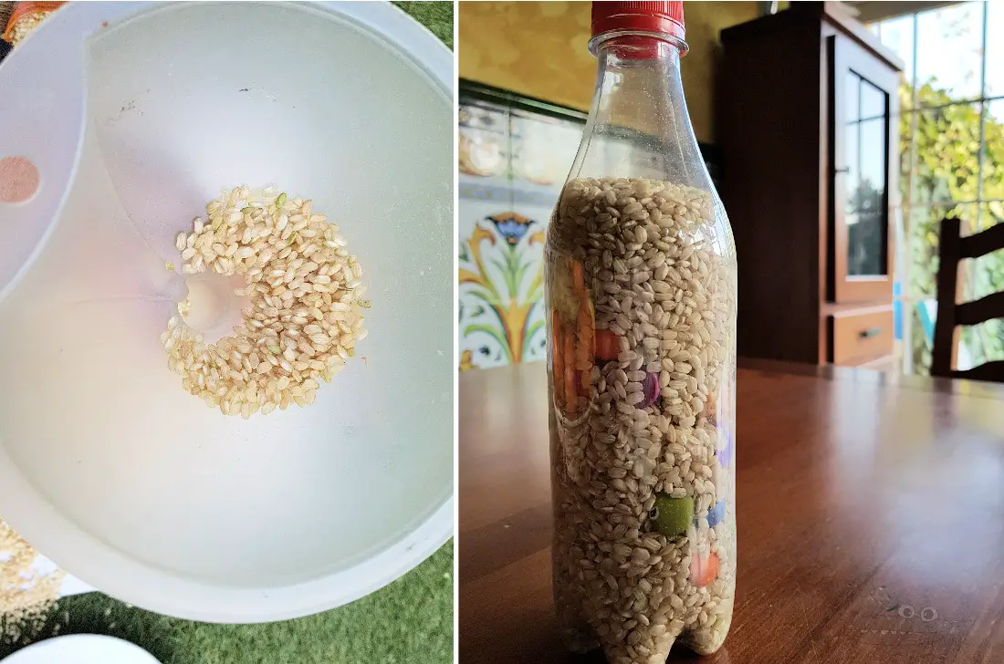 Actividad sensorial de la botella espía