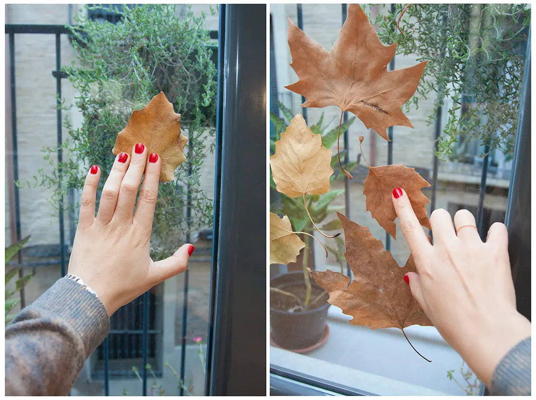 Pegar hojas en el cristal