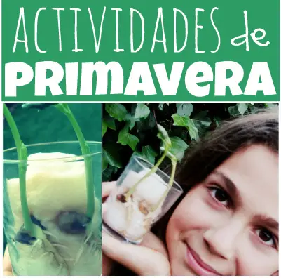 Actividades de primavera