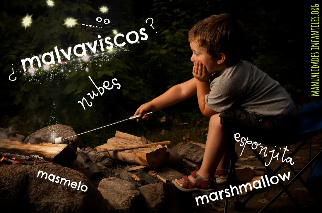 Asar malvaviscos actividades niños