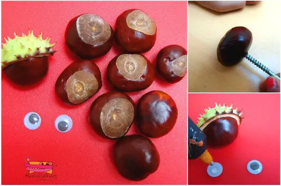Cómo hacer un gusano de castañas Cómo hacer un gusano de castañas