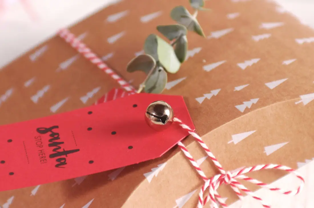 Cajas de cartón con arbolitos de Navidad