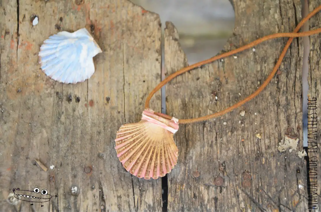 Collares con conchas de playa