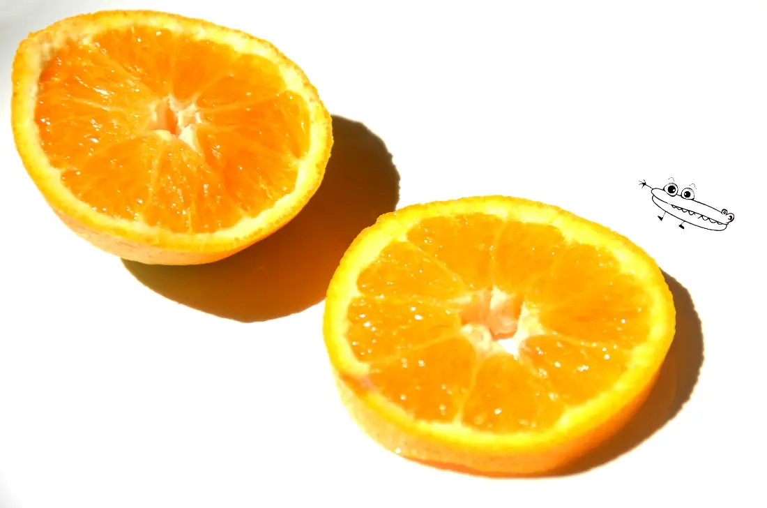 Cortar la naranja a rodajas