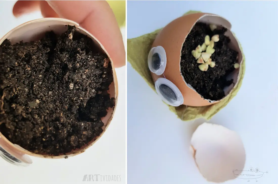 Crecepelos con huevos
