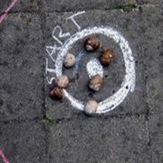 manualidades-con-caracoles8 manualidades-con-caracoles8