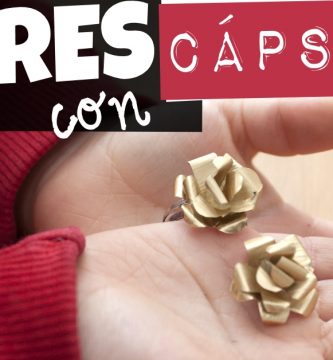 Flores con capsulas de cafe