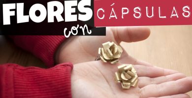 Flores con capsulas de cafe