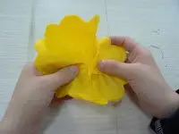 flores con papel de seda 10