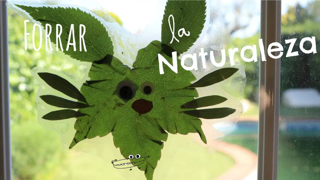 Forrar la naturaleza actividades