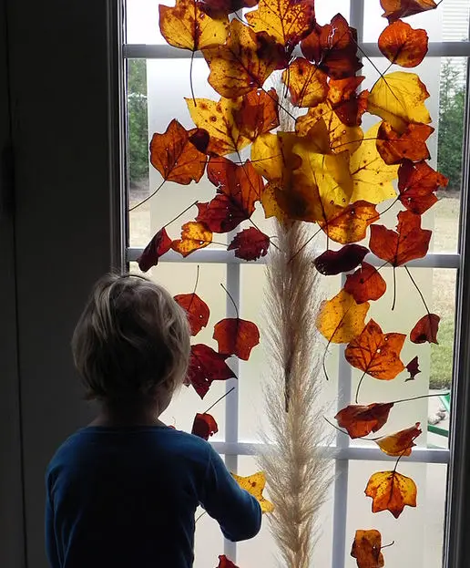 Hojas de otoño en la ventana