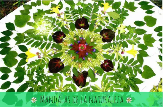 Mandalas con hojas y flores