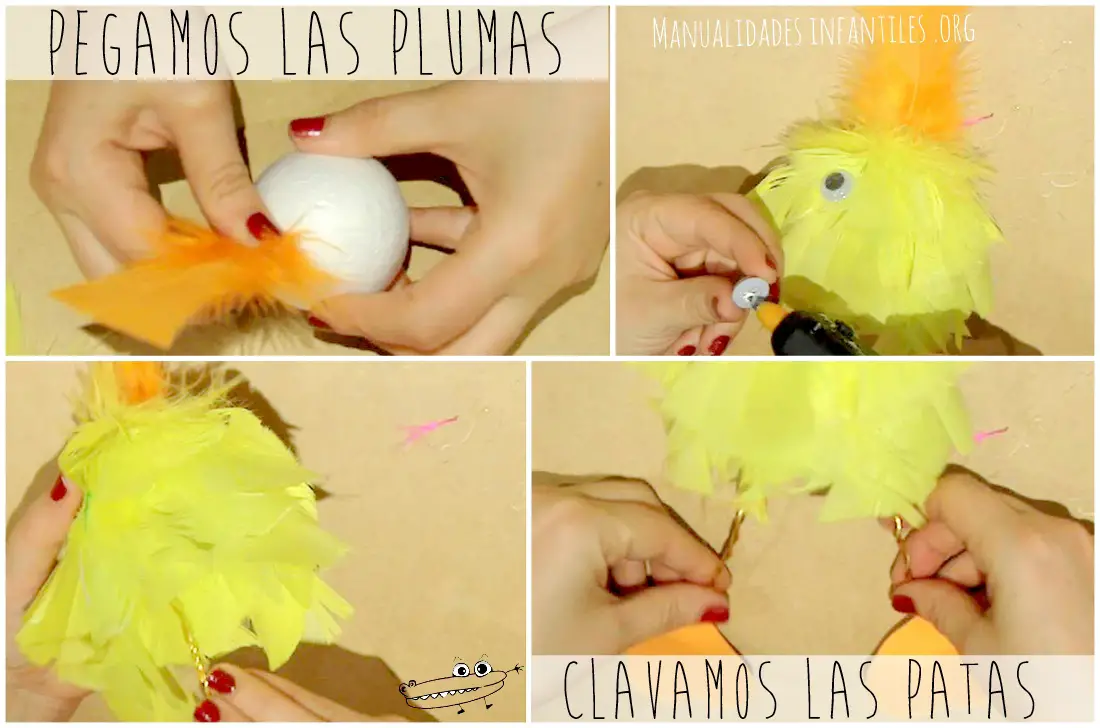 Pollos con plumas de colores