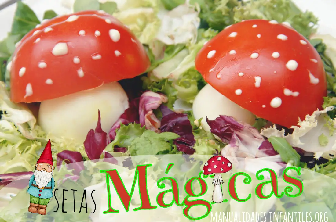 Receta de setas magicas