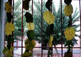 cortina de otoño con las hojas secas