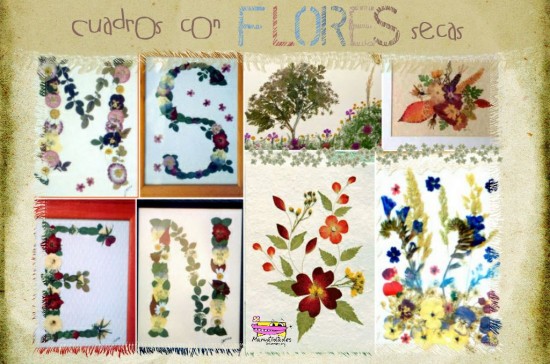 Cuadro con flores secas -Manualidades Infantiles