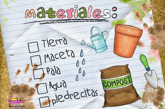 cómo trasplantar una planta