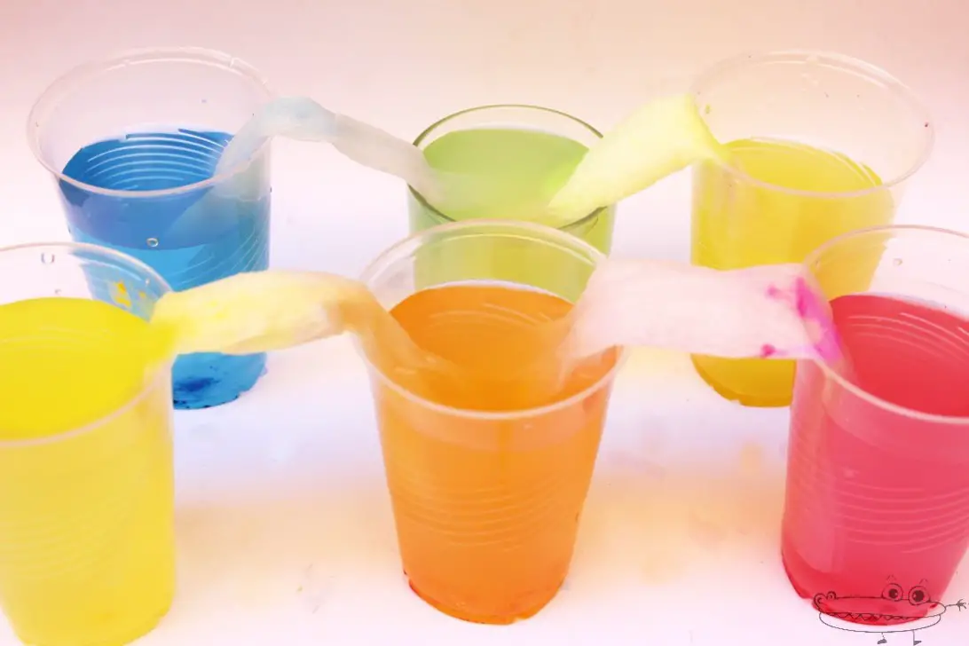 Experimento de capilaridad con agua de colores -Manualidades ...