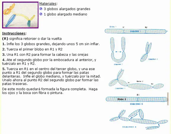 globoflexia burro