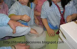 Experimentos escolares humo de Colores.