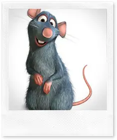 Disfraz de Ratatouille