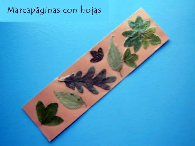 marca paginas con hojas secas