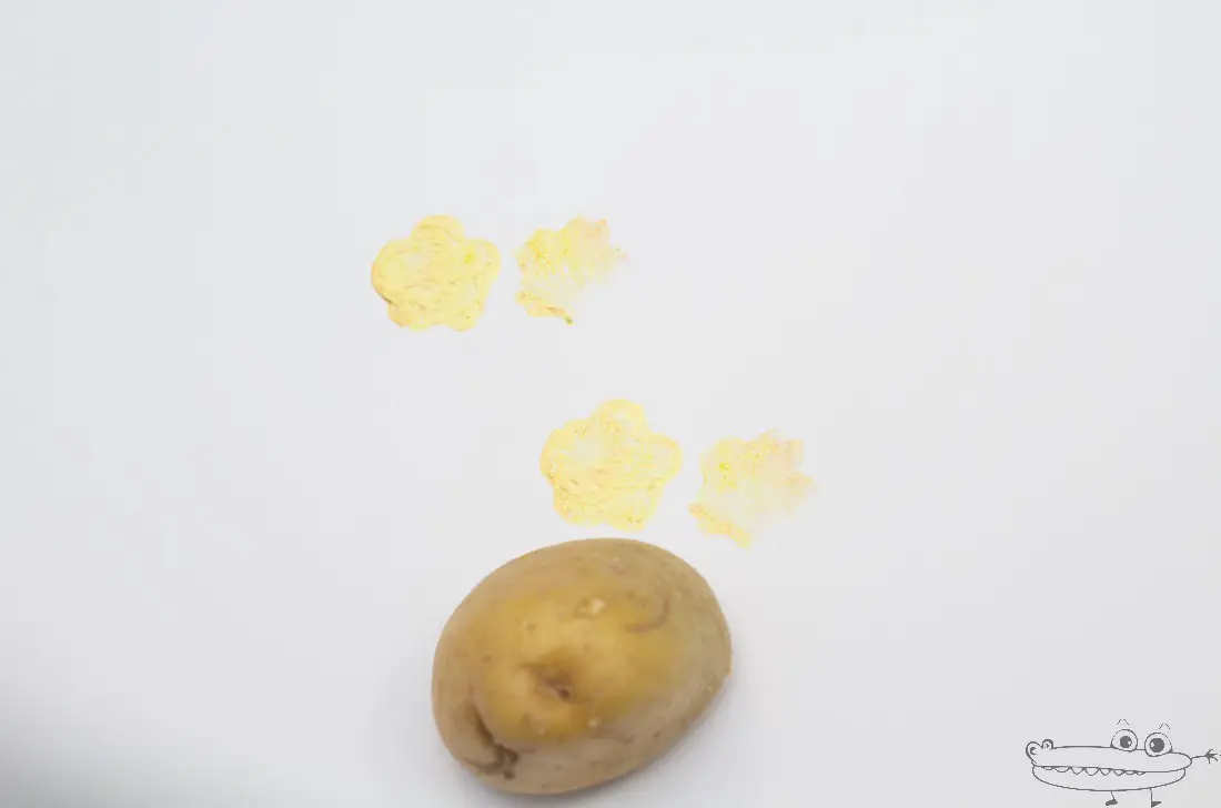 Imprimir con patatas